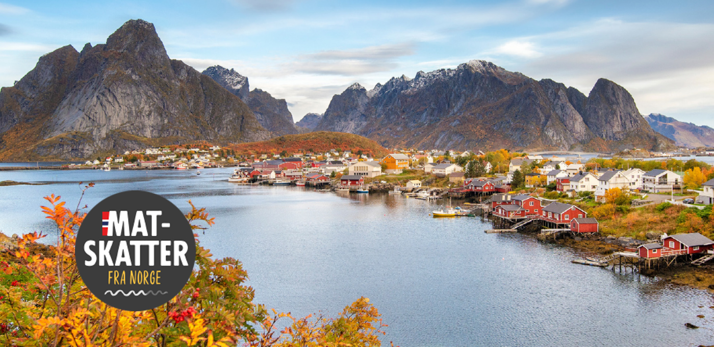 Matskatter fra Norge